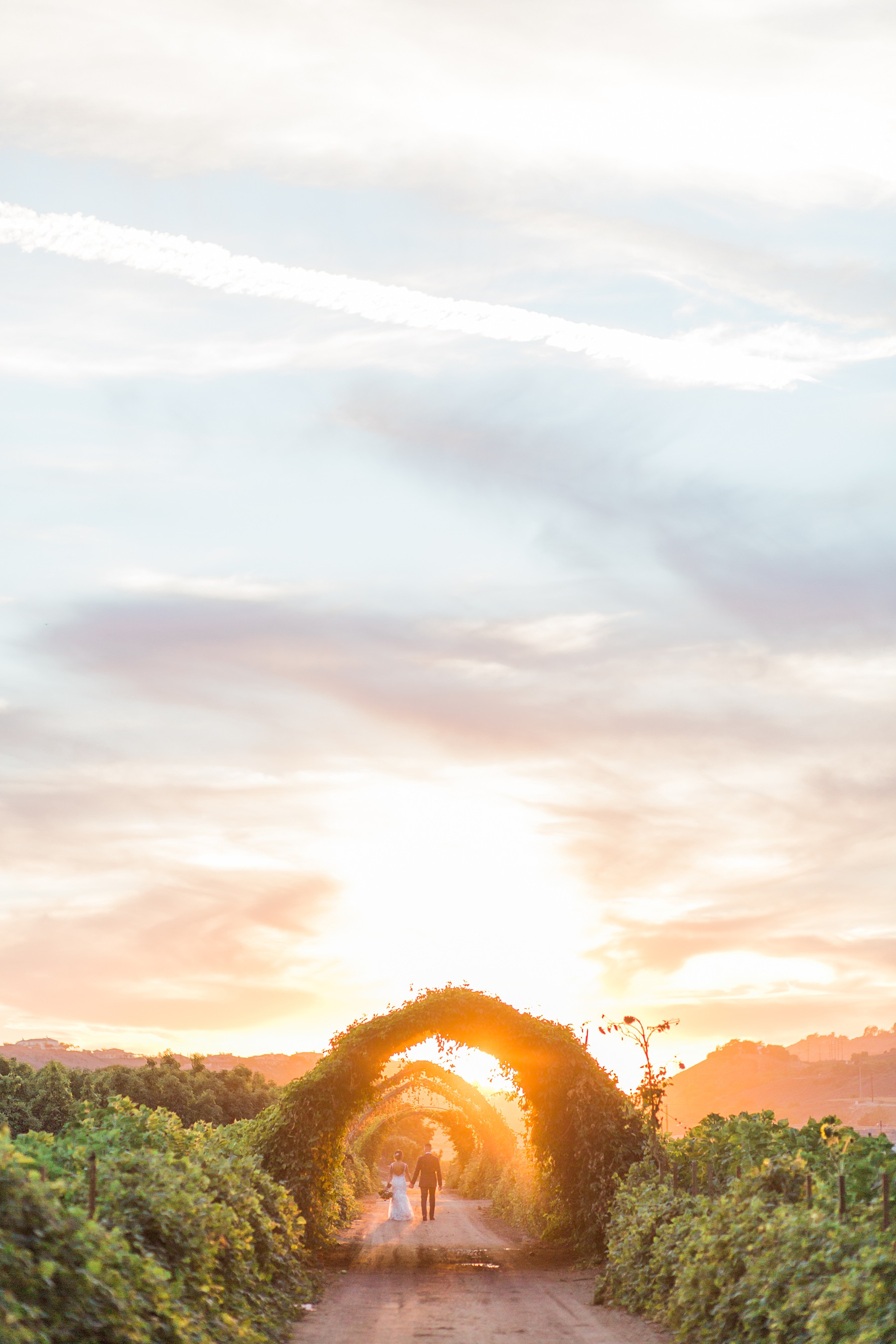 pineandsea-malibu-proposal-photography_0076